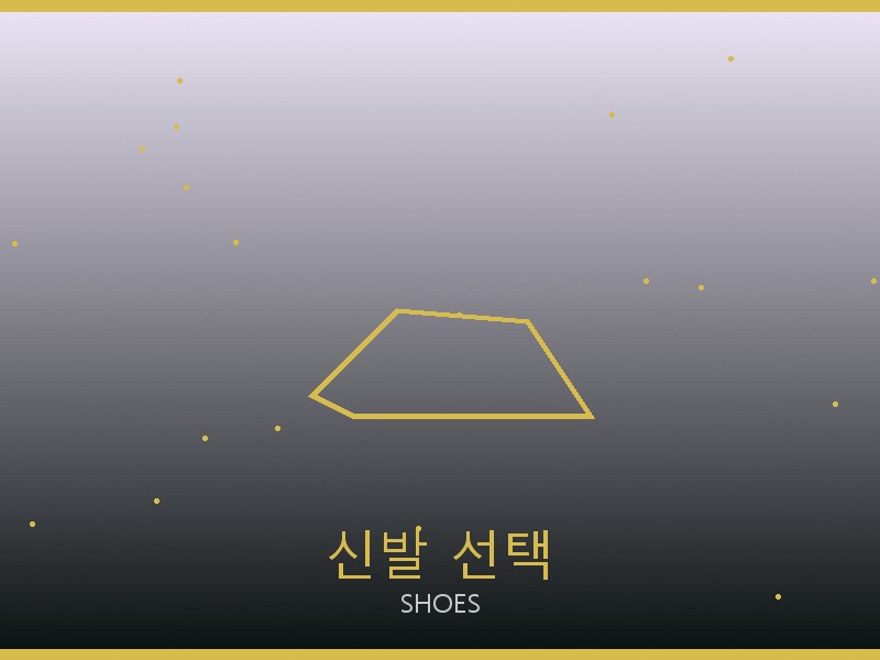 아바 트리옹프 미디엄 미러급 사이트 신발 선택 가이드